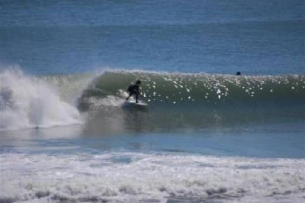 The Lost Loggerhead- Obx Ocean View Beach House Avon Exteriör bild